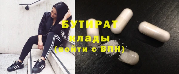 индика Инта