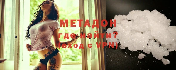 индика Инта