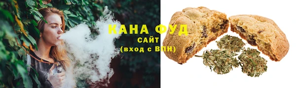 индика Инта