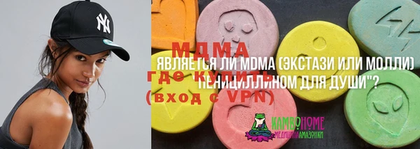 индика Инта