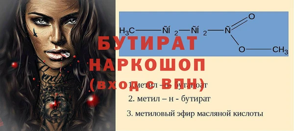 индика Инта