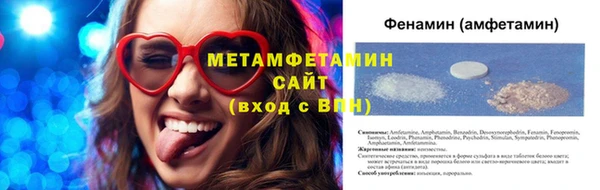 индика Инта
