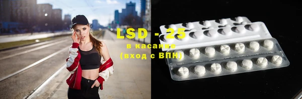 индика Инта