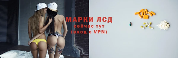 индика Инта