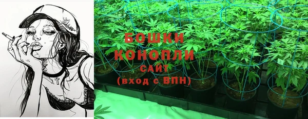 индика Инта