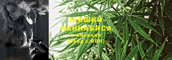 индика Инта