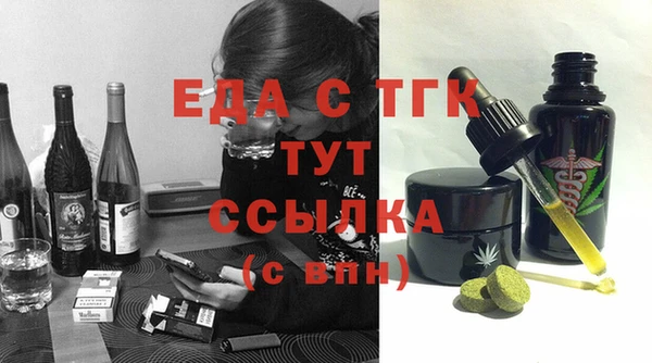 индика Инта