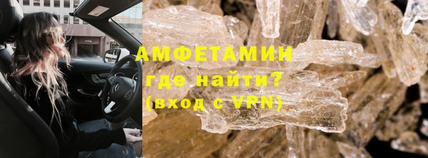 индика Инта