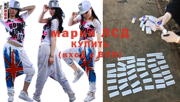 индика Инта