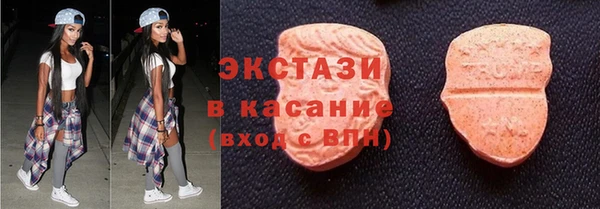 индика Инта