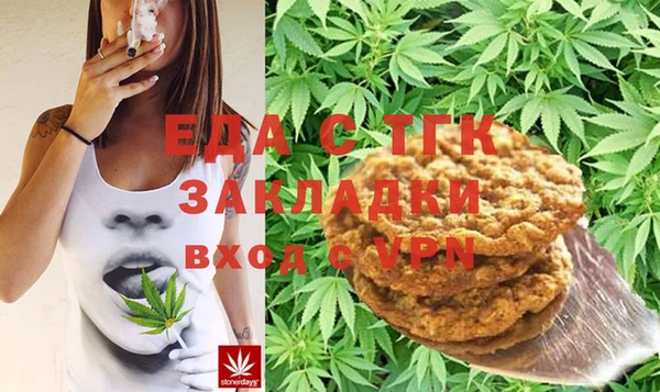 индика Инта
