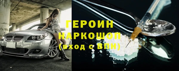 индика Инта