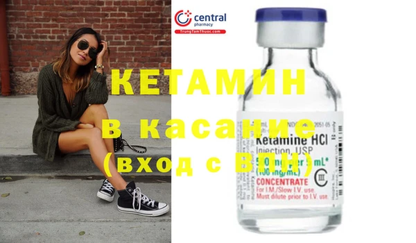 индика Инта