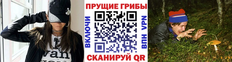 Галлюциногенные грибы ЛСД  Купить закладки  Горно-Алтайск 